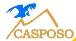 Casposo